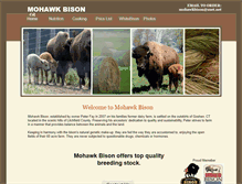 Tablet Screenshot of mohawkbison.com